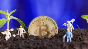 What Is Yield Farming in Crypto?